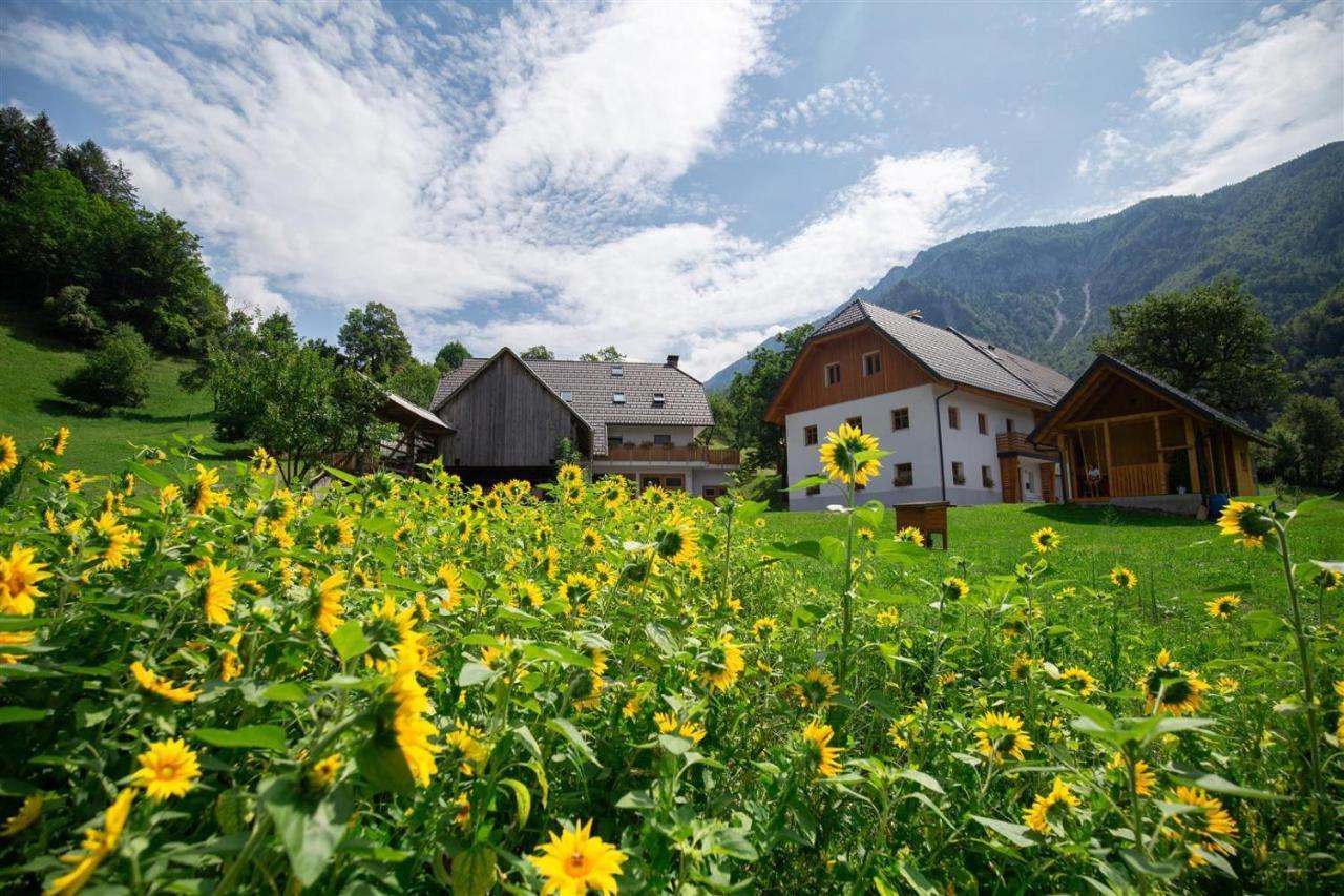 Apartments Tourist Farm Storman With Ev Ch-Station Tržič Eksteriør bilde