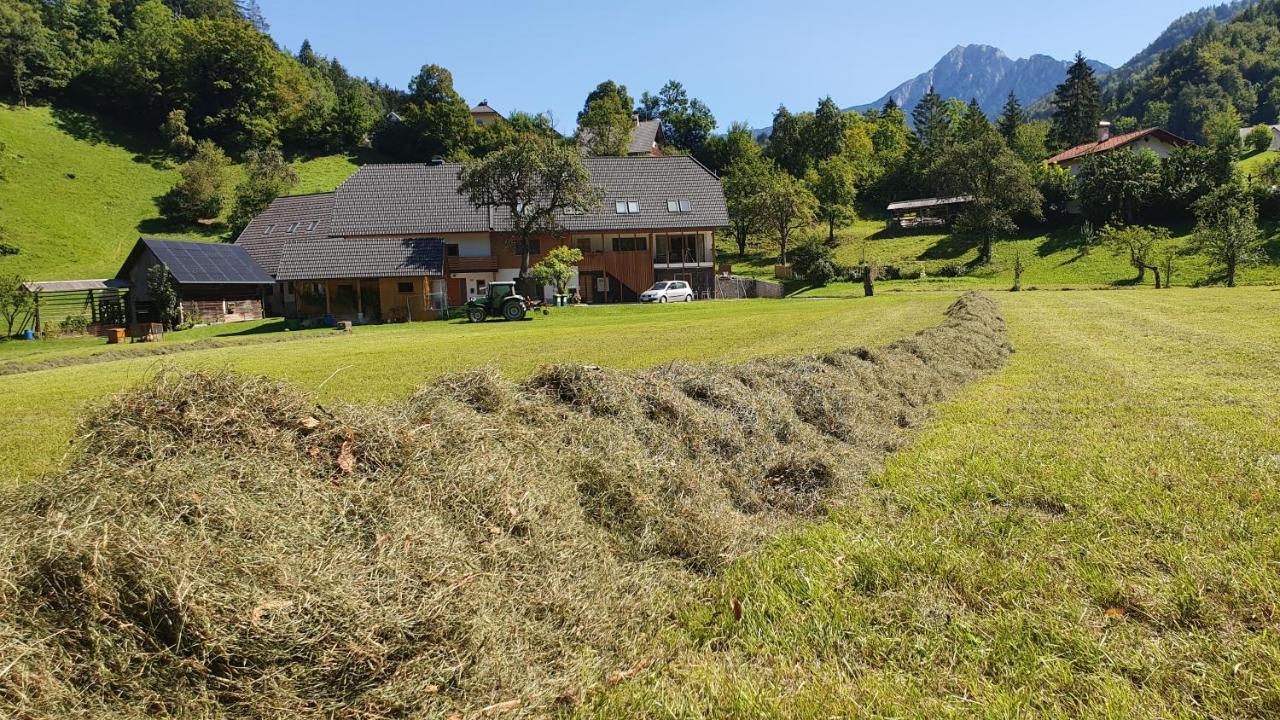 Apartments Tourist Farm Storman With Ev Ch-Station Tržič Eksteriør bilde