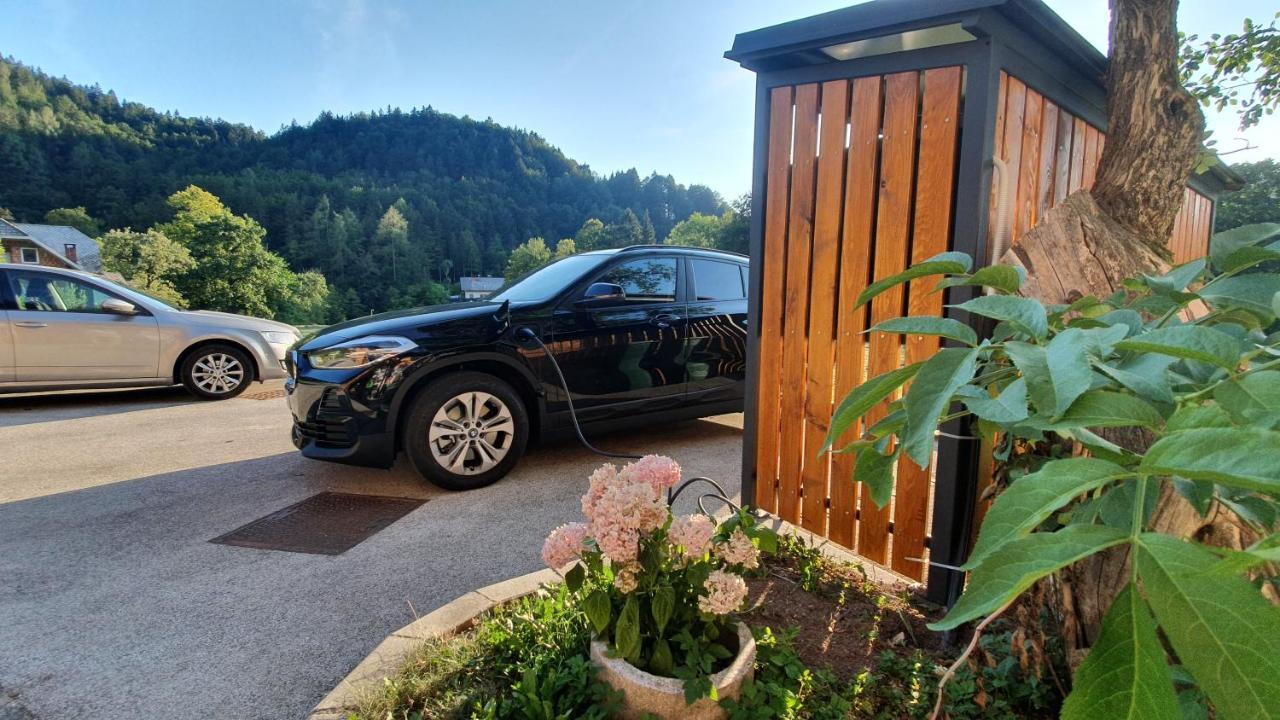 Apartments Tourist Farm Storman With Ev Ch-Station Tržič Eksteriør bilde