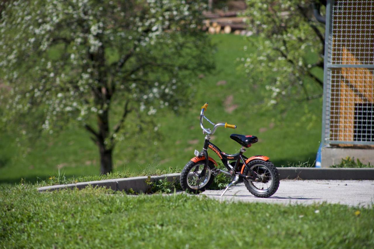 Apartments Tourist Farm Storman With Ev Ch-Station Tržič Eksteriør bilde